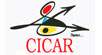 Cicar Tenerife South Luchthaven